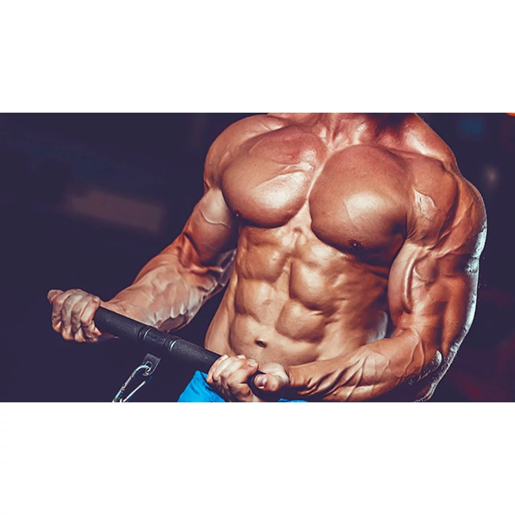 Muscle Steroids For Gaining Mass