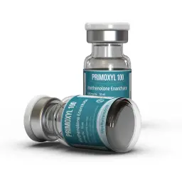 Safe Steroid Cycle