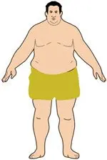 endomorph