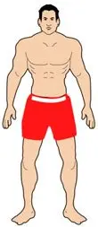 mesomorph