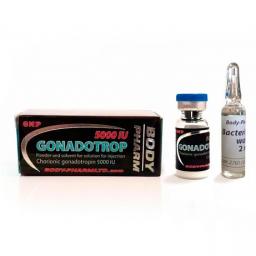 Gonadotropin 5000 IU