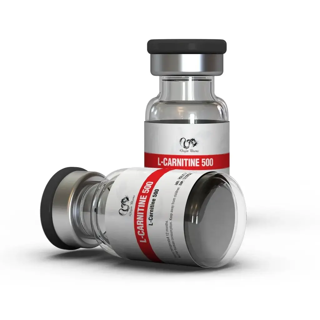 L-Carnitine 500 mg L-Carnitine 500 mg