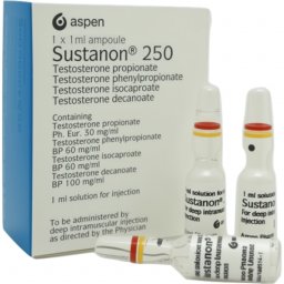 Sustanon 250 mg