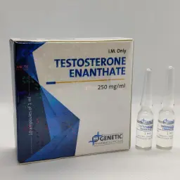 Testosterone Enanthate