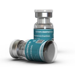 Testoxyl Enanthate 250 mg