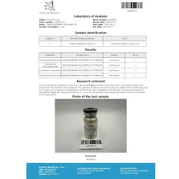 Sustanon 270 lab test result (2025-01-17)