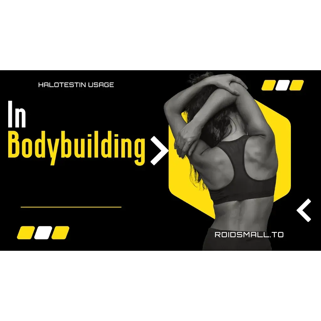 What is Halotestin Used for in Bodybuilding?